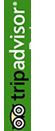 Feedback
